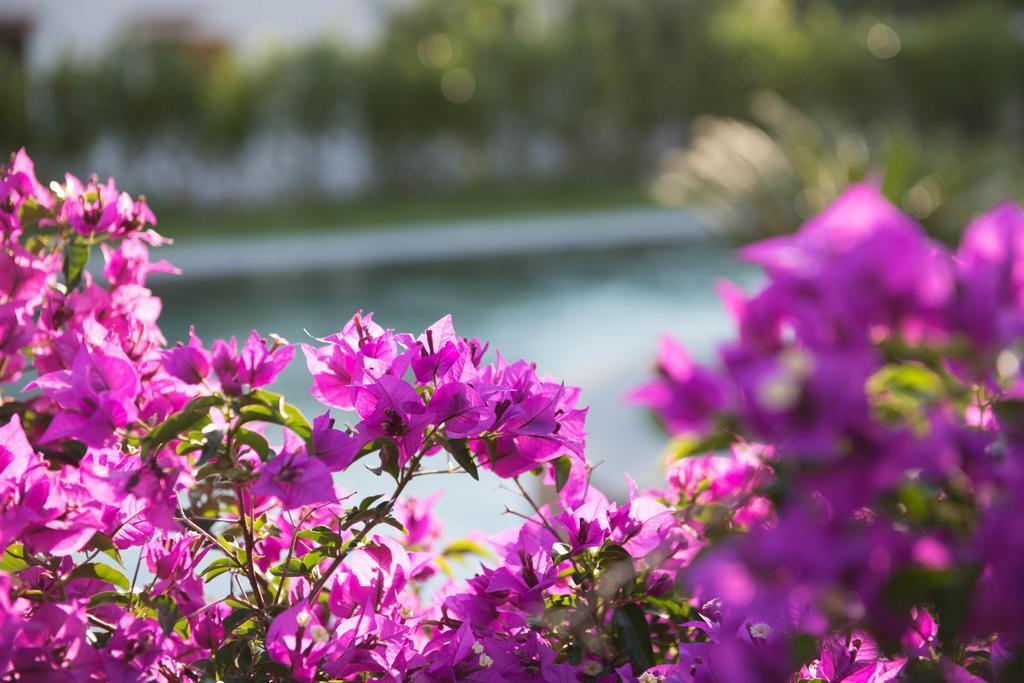 Romantic Hotel & Restaurant Villa Cheta Elite ماراتييا المظهر الخارجي الصورة